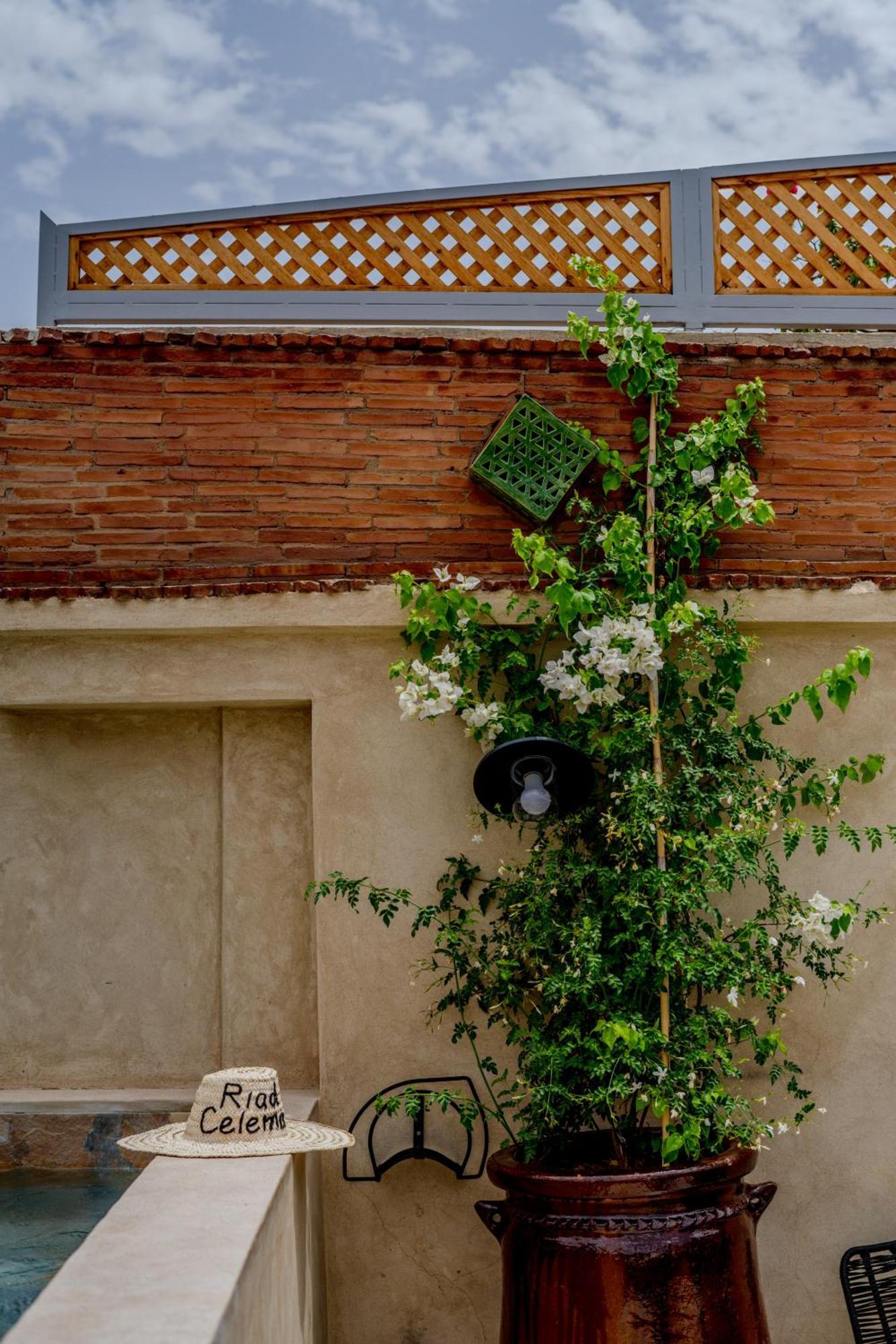 מרקש Riad Celema & Spa מראה חיצוני תמונה